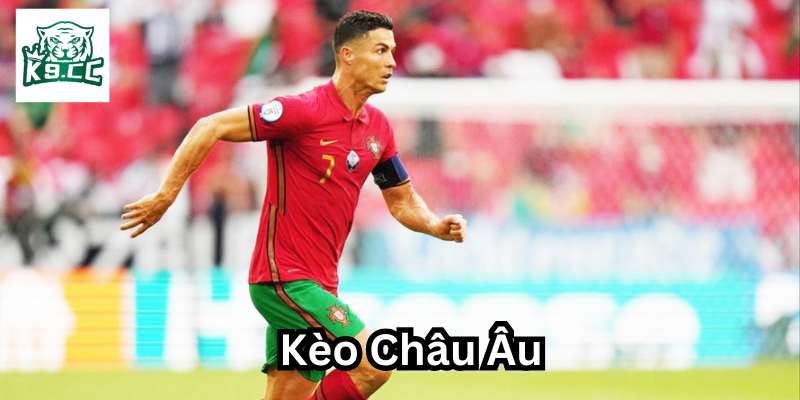Tất Tần Tật Về Kèo Châu Âu: Hướng Dẫn Chi Tiết Cho Người Mới Cách soi Kèo Châu Âu chuẩn xác