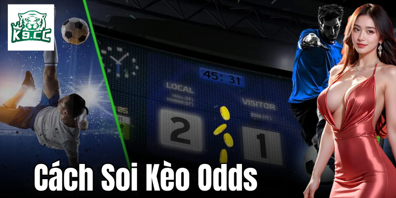 Cách Soi Kèo Odds - Chiến Lược Không Thể Bỏ Qua Từ K9CC Chiến thuật cược thông minh