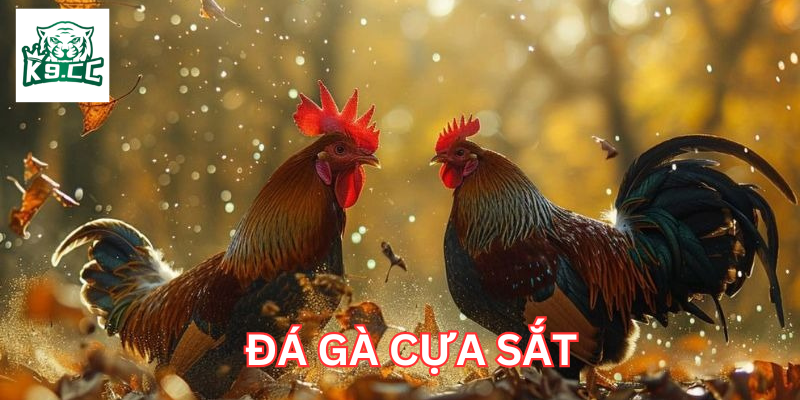 Đá Gà Cựa Sắt: Bí Quyết Chọn Chiến Kê Thắng Mọi Mặt Trận Đá Gà Cựa Sắt là gì?